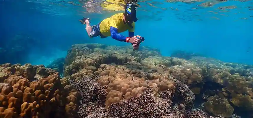 อ่าวมาหยา เกาะพีพี ดำน้ำ ไปเช้าเย็นกลับ เรือเร็ว สปีดโบ๊ท